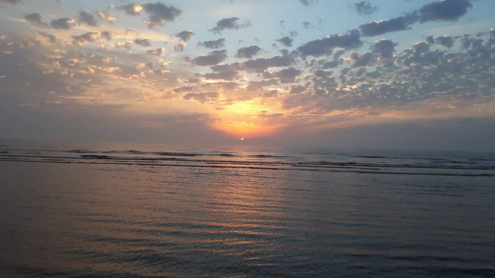 Swallow Park Scenery