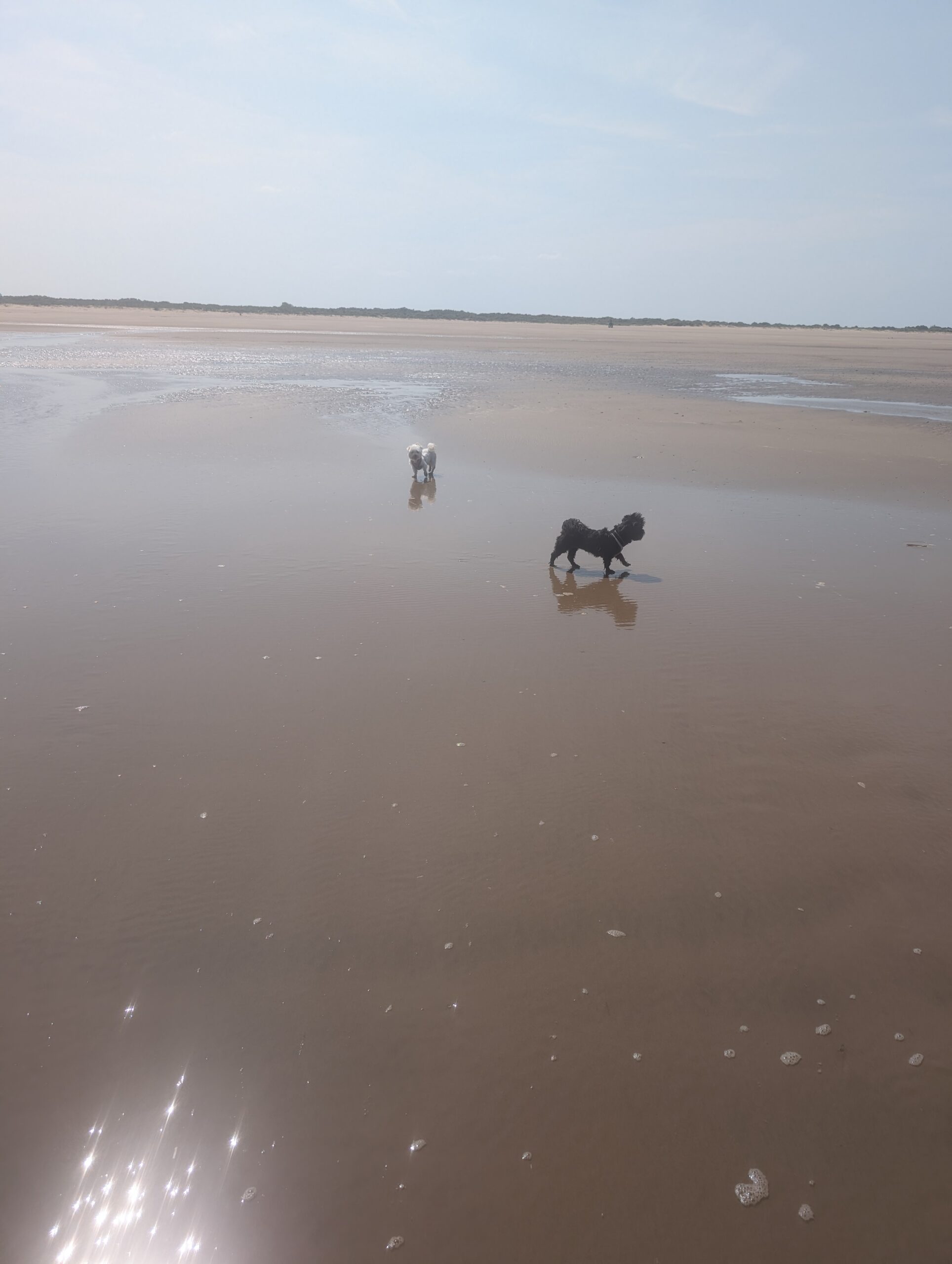 Swallow Park Entrance